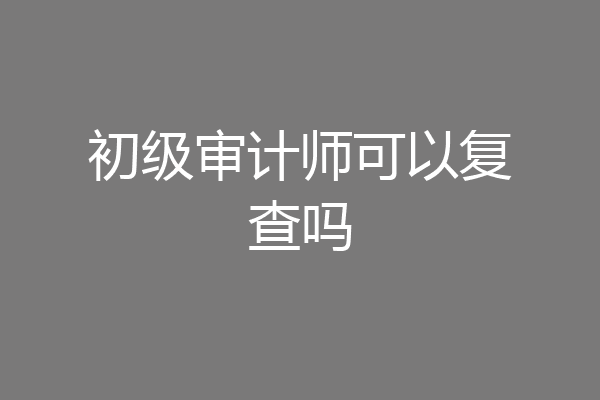 初级审计师可以复查吗
