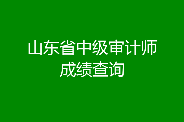 山东省中级审计师成绩查询