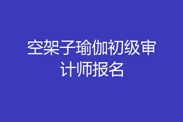 空架子瑜伽初级审计师报名