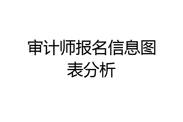 审计师报名信息图表分析