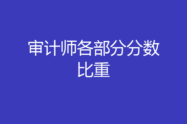 审计师各部分分数比重