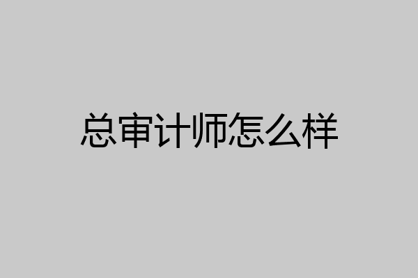 总审计师怎么样