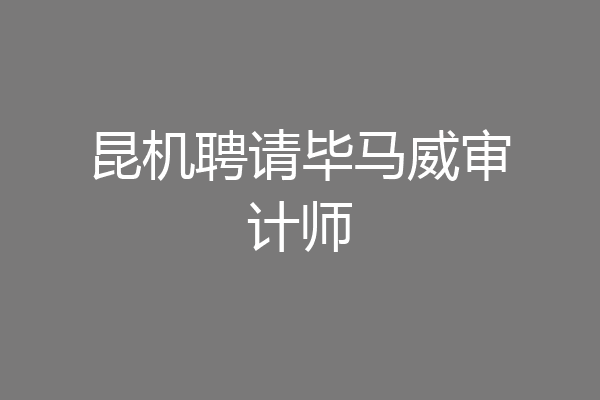 昆机聘请毕马威审计师