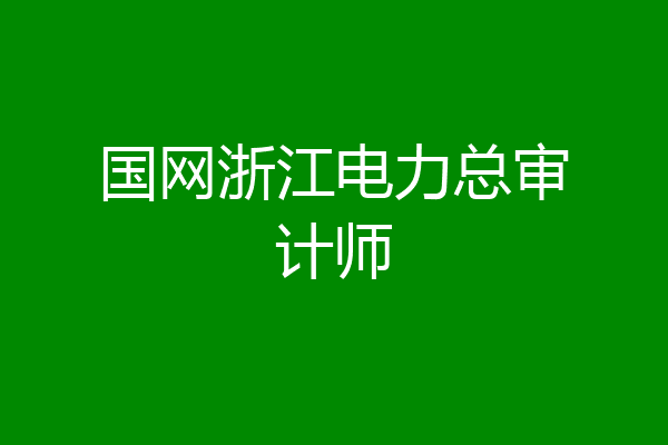 国网浙江电力总审计师