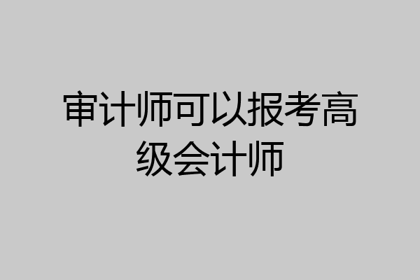 审计师可以报考高级会计师