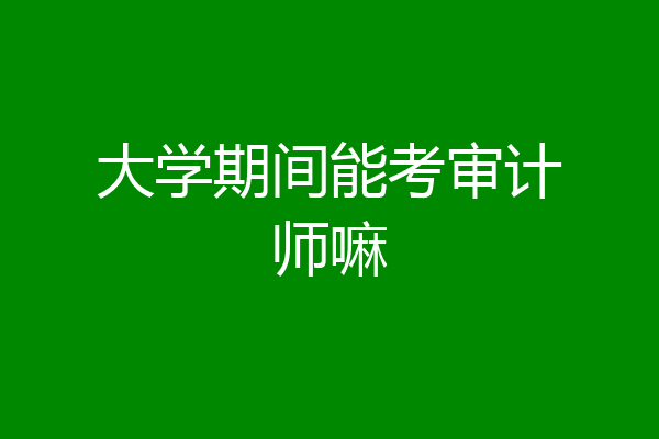 大学期间能考审计师嘛