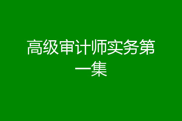 高级审计师实务第一集
