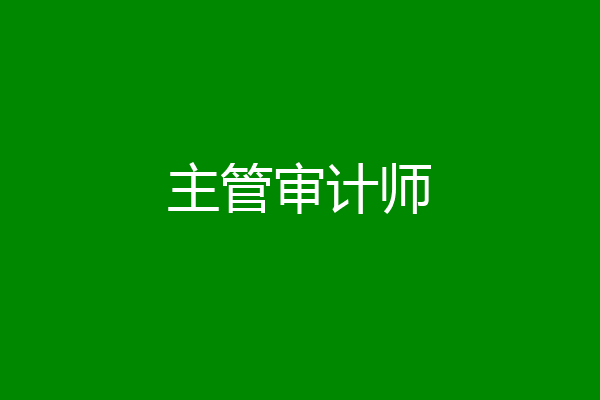 主管审计师