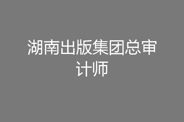 湖南出版集团总审计师