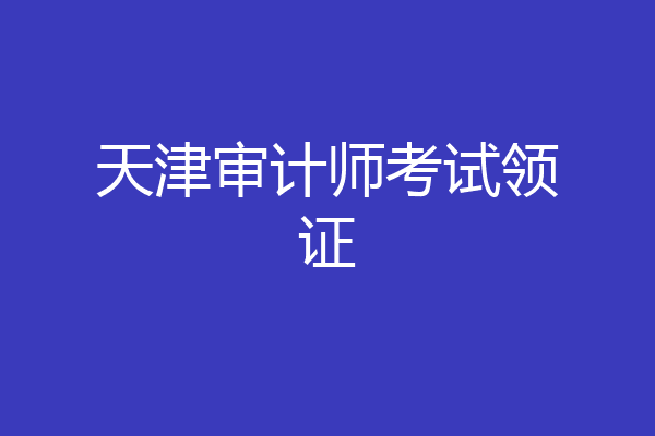 天津审计师考试领证