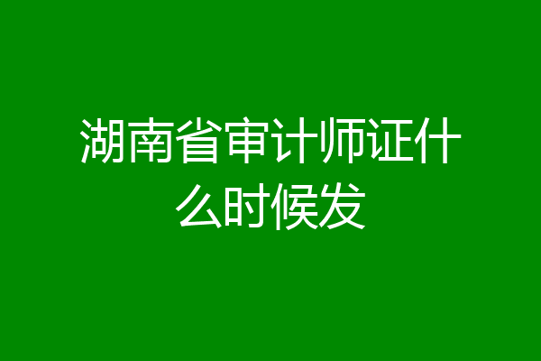湖南省审计师证什么时候发