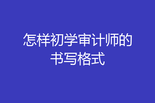 怎样初学审计师的书写格式