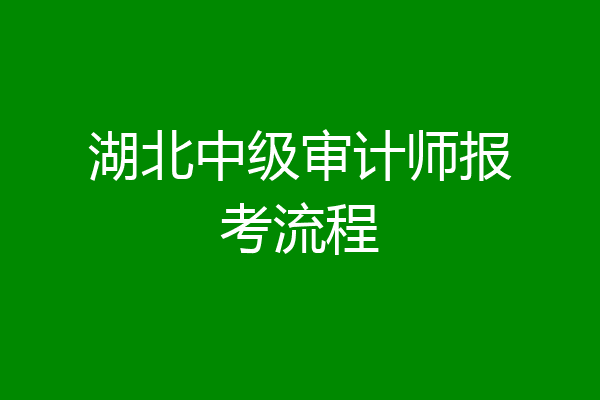 湖北中级审计师报考流程