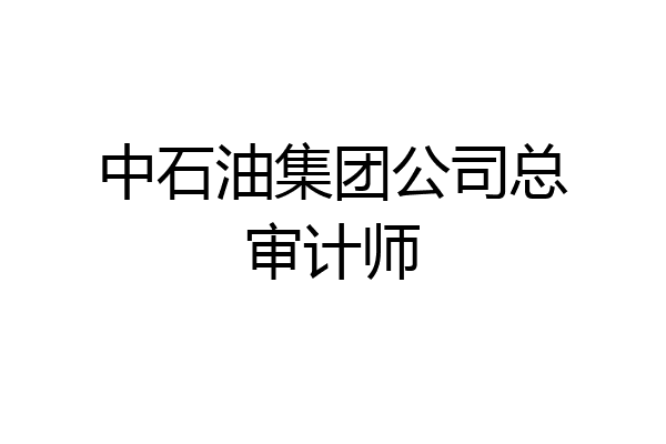 中石油集团公司总审计师