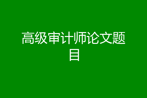 高级审计师论文题目