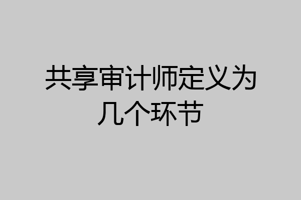 共享审计师定义为几个环节