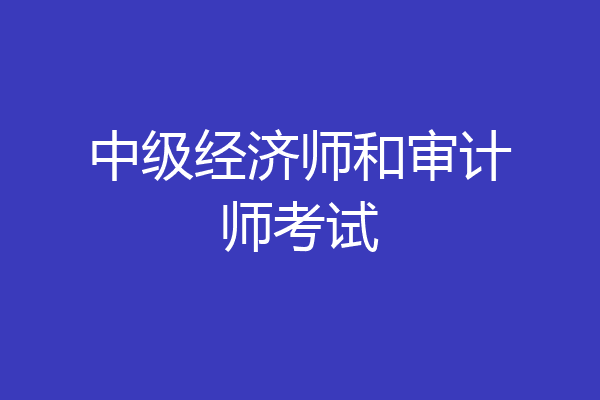 中级经济师和审计师考试
