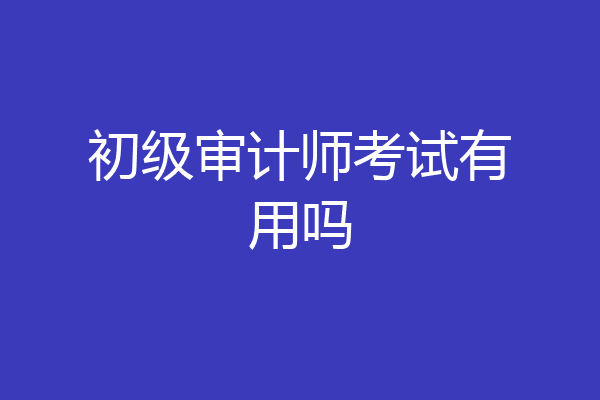 初级审计师考试有用吗
