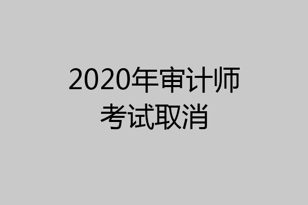 2020年审计师考试取消