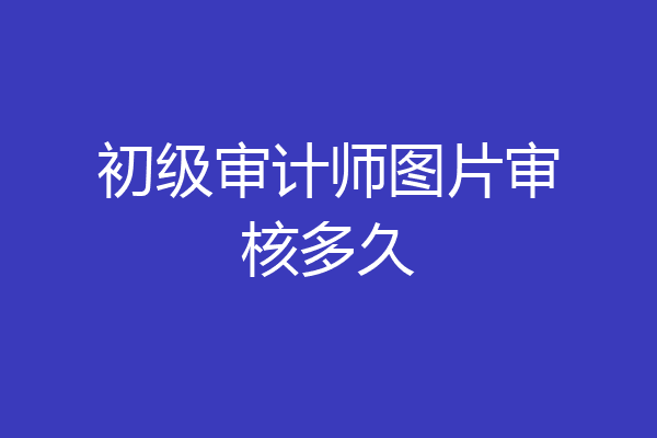 初级审计师图片审核多久