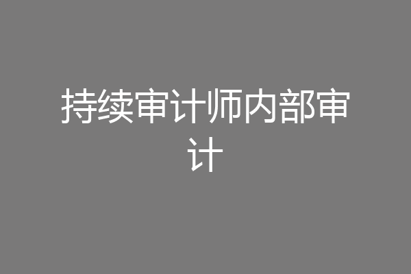持续审计师内部审计