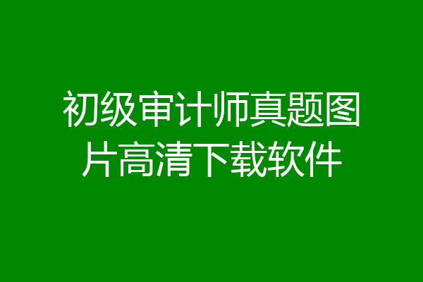 初级审计师真题图片高清下载软件