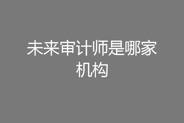 未来审计师是哪家机构