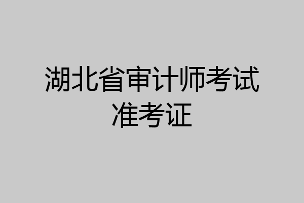 湖北省审计师考试准考证