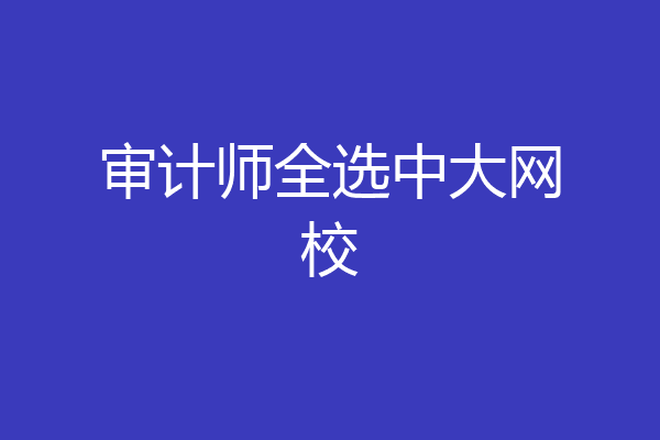 审计师全选中大网校