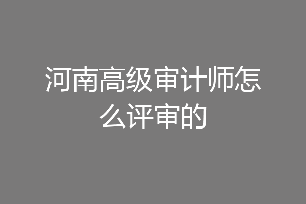 河南高级审计师怎么评审的
