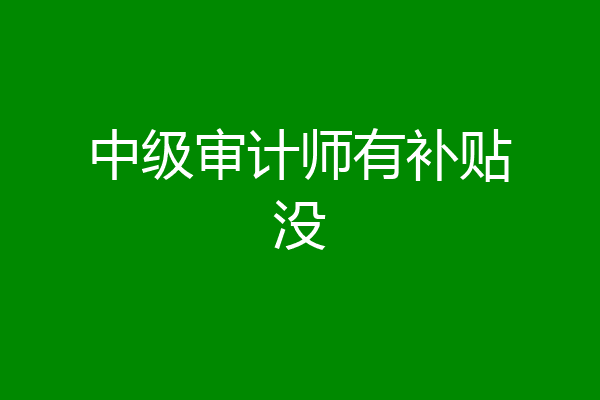中级审计师有补贴没
