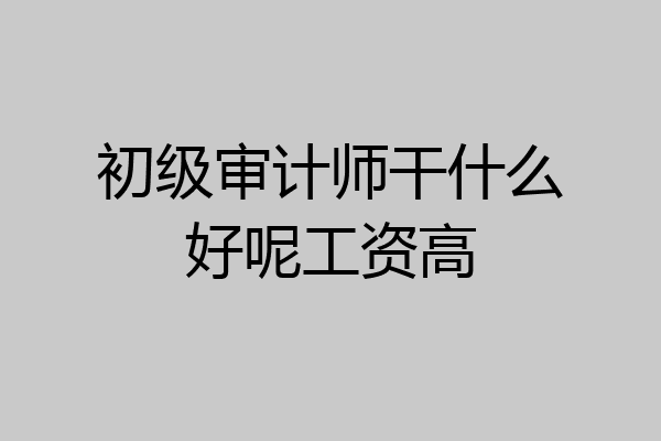 初级审计师干什么好呢工资高