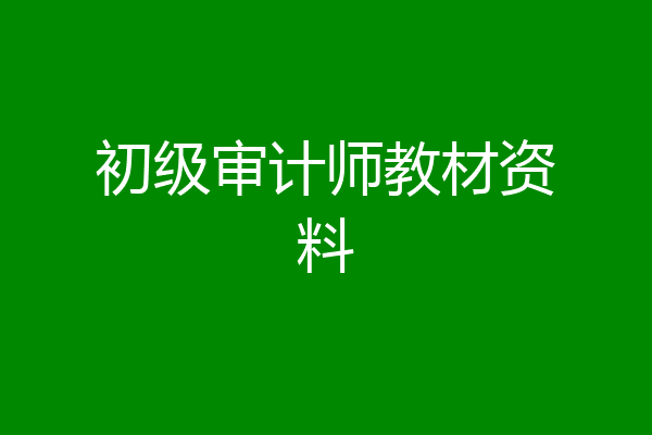 初级审计师教材资料