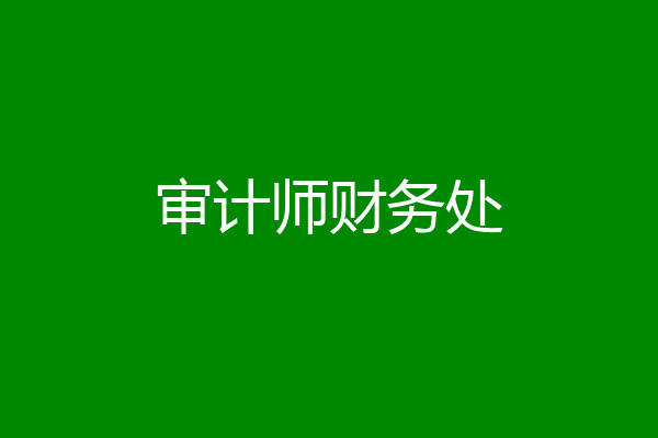 审计师财务处
