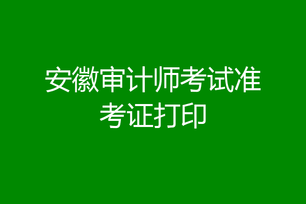 安徽审计师考试准考证打印