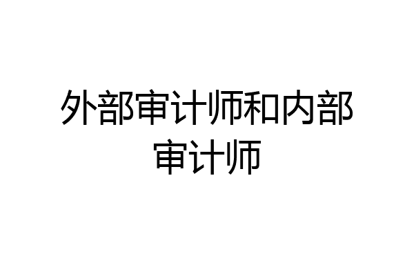 外部审计师和内部审计师