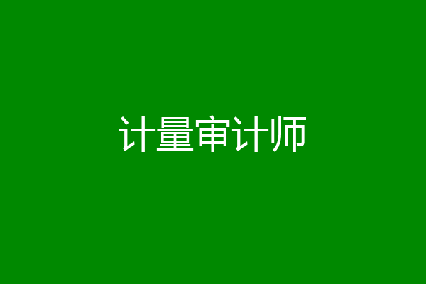 计量审计师
