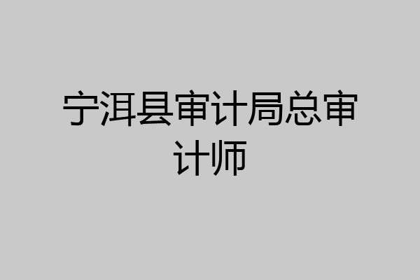 宁洱县审计局总审计师
