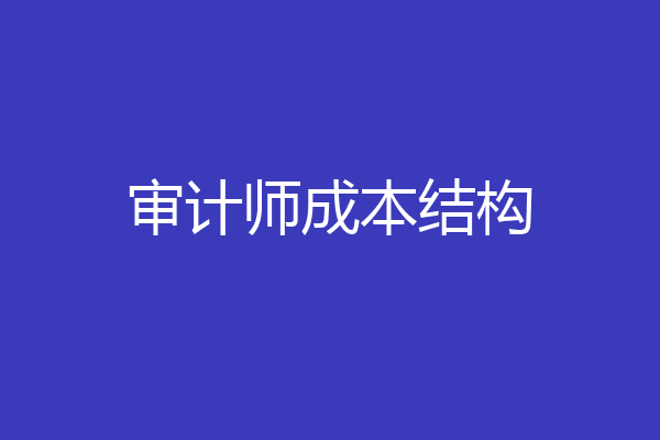 审计师成本结构
