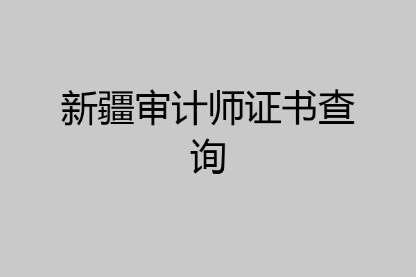新疆审计师证书查询
