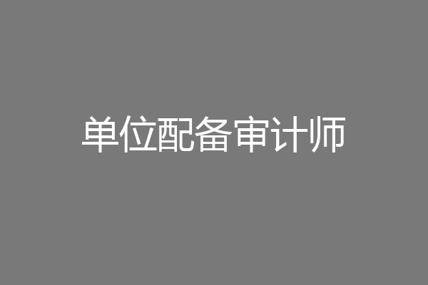 单位配备审计师