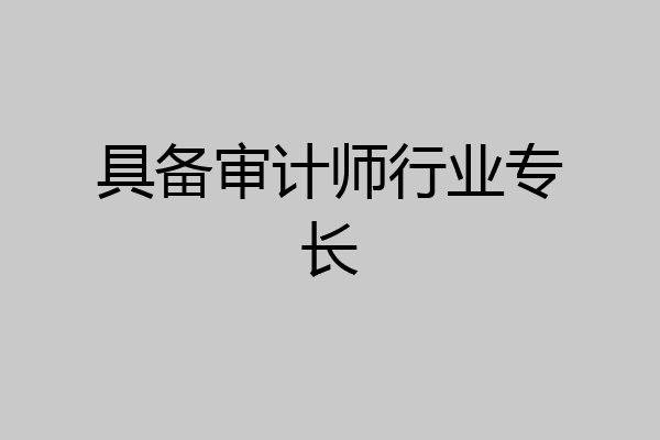 具备审计师行业专长