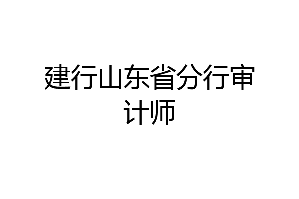 建行山东省分行审计师