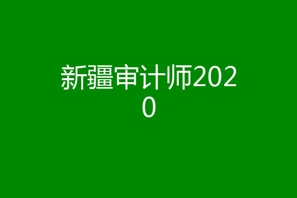 新疆审计师2020