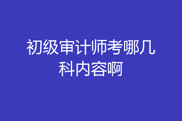 初级审计师考哪几科内容啊