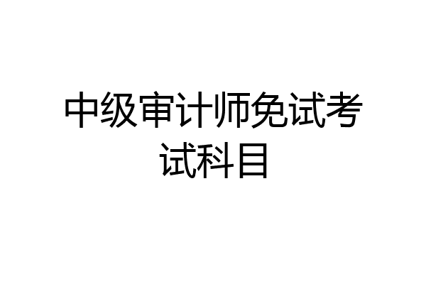 中级审计师免试考试科目