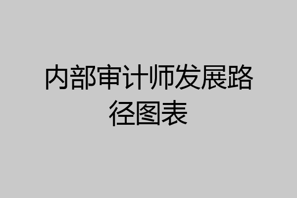 内部审计师发展路径图表