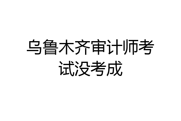 乌鲁木齐审计师考试没考成