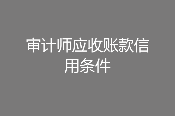 审计师应收账款信用条件