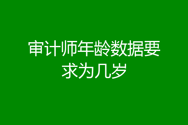 审计师年龄数据要求为几岁